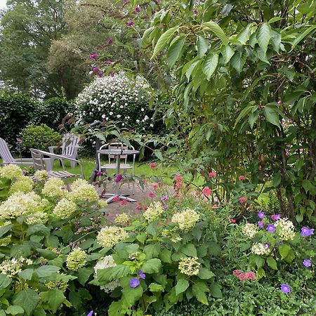 Bed and Breakfast De Viersprong Ларен Екстер'єр фото